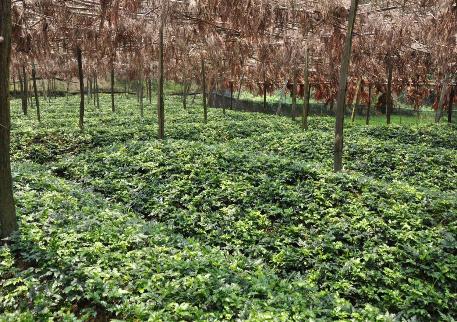 征途国际官网-钻营健全,你我一路成长