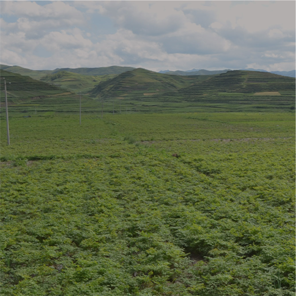 征途国际官网-钻营健全,你我一路成长